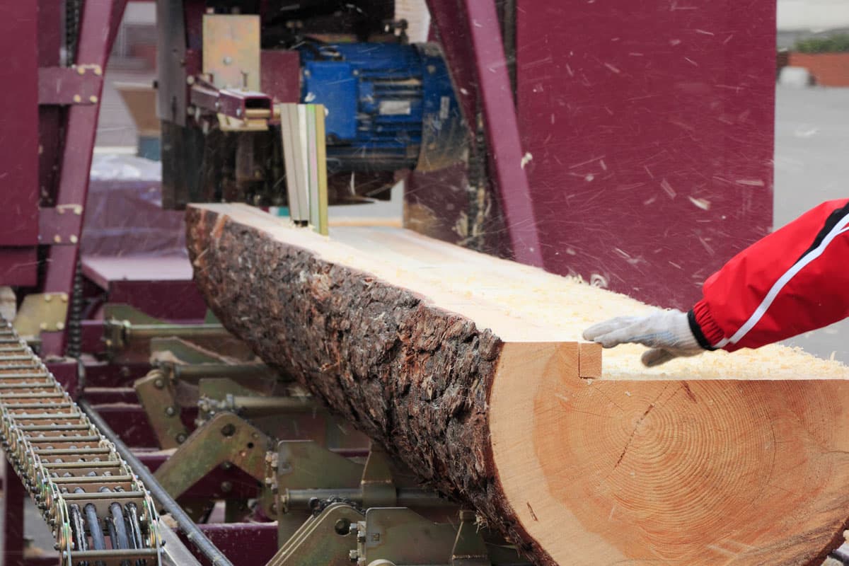 Aserradero de madera en Outes